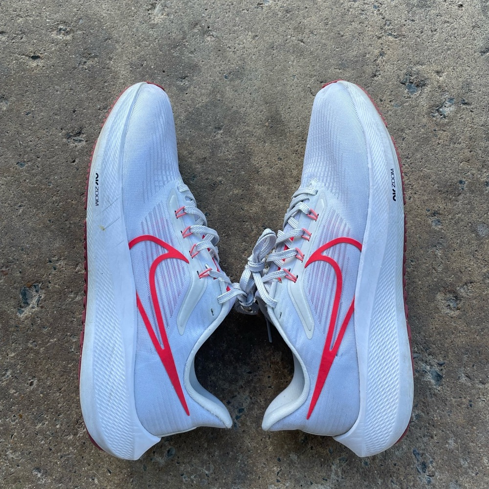 Nike Air Zoom Pegasus 39 men’s 10